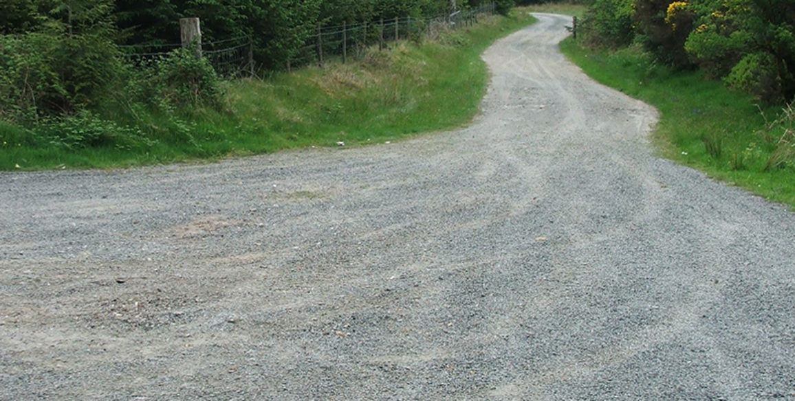 Roadside Clean up