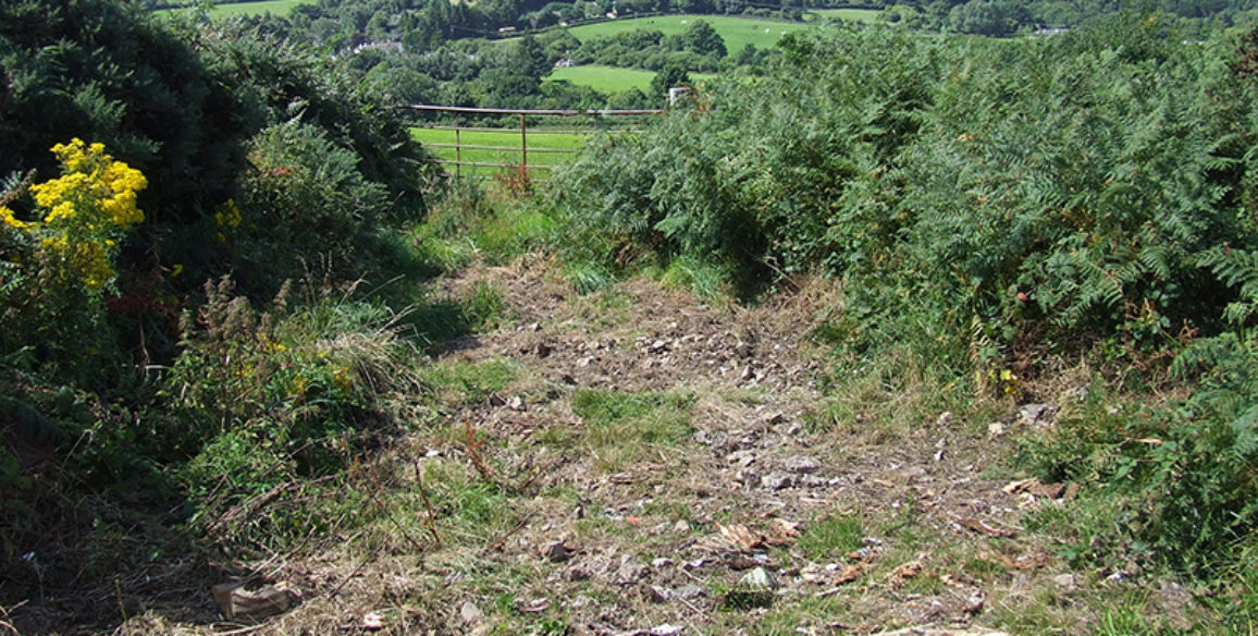 Uplands Clean Up