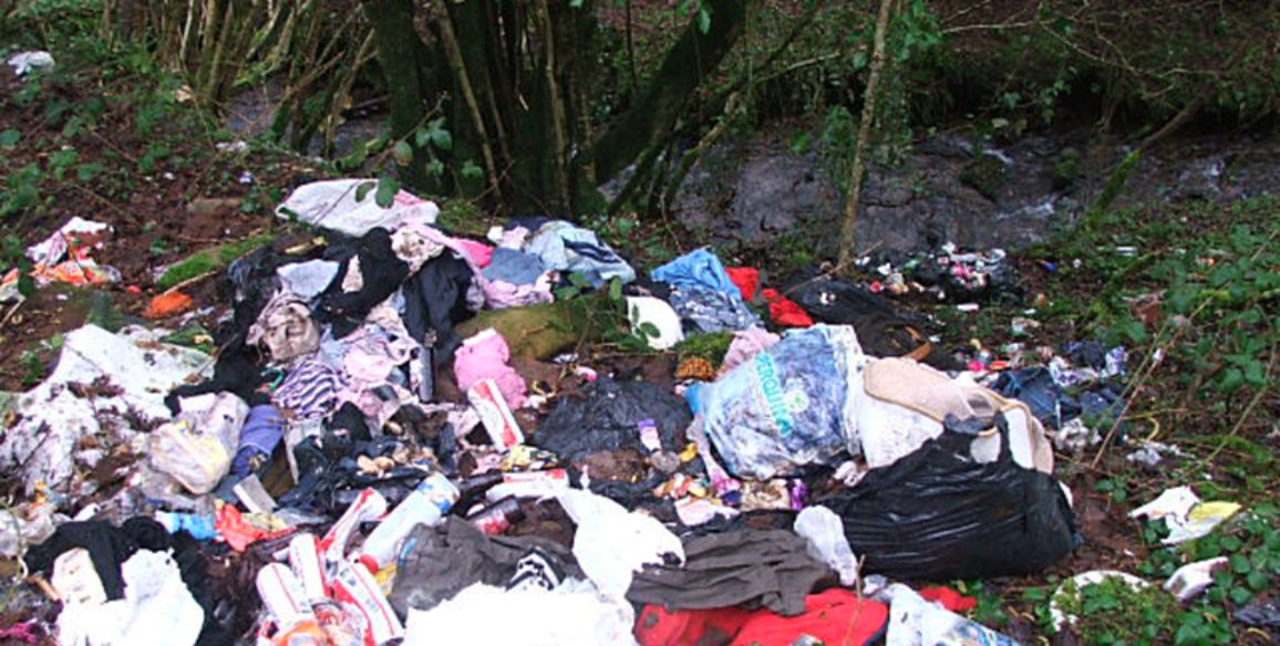 Woodland Dumping