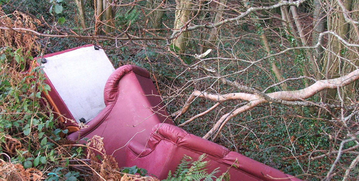 Woodland Dumping