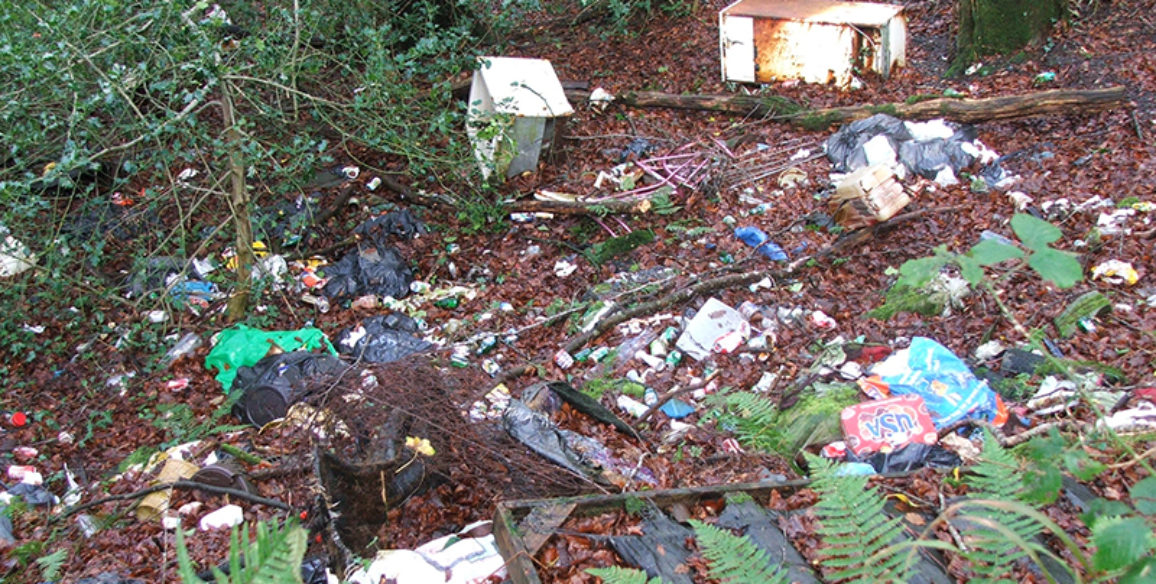 Woodland Dumping