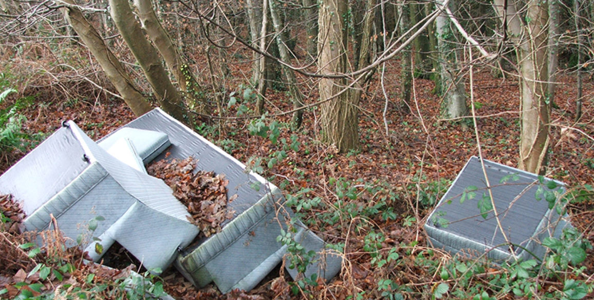 Woodland Dumping