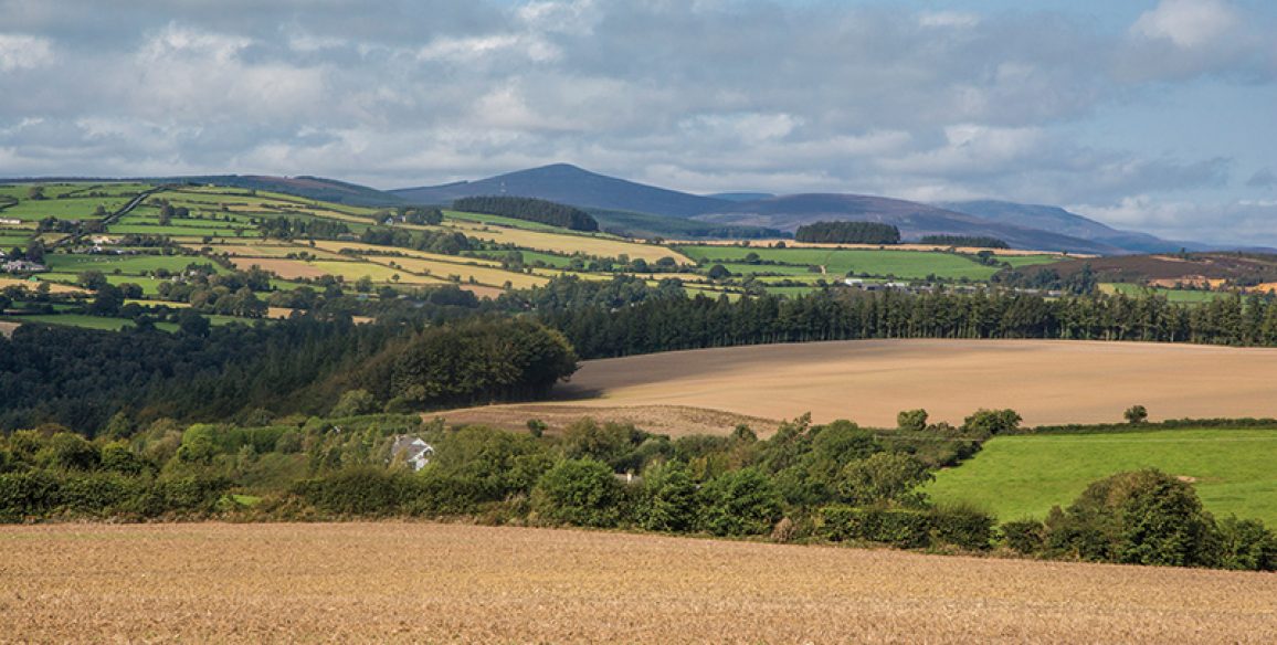 Avoca Kilmagig Pure Miles