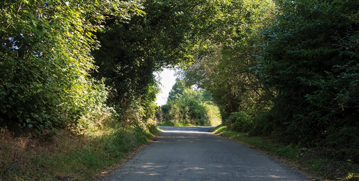Avoca Knockenree Pure Miles