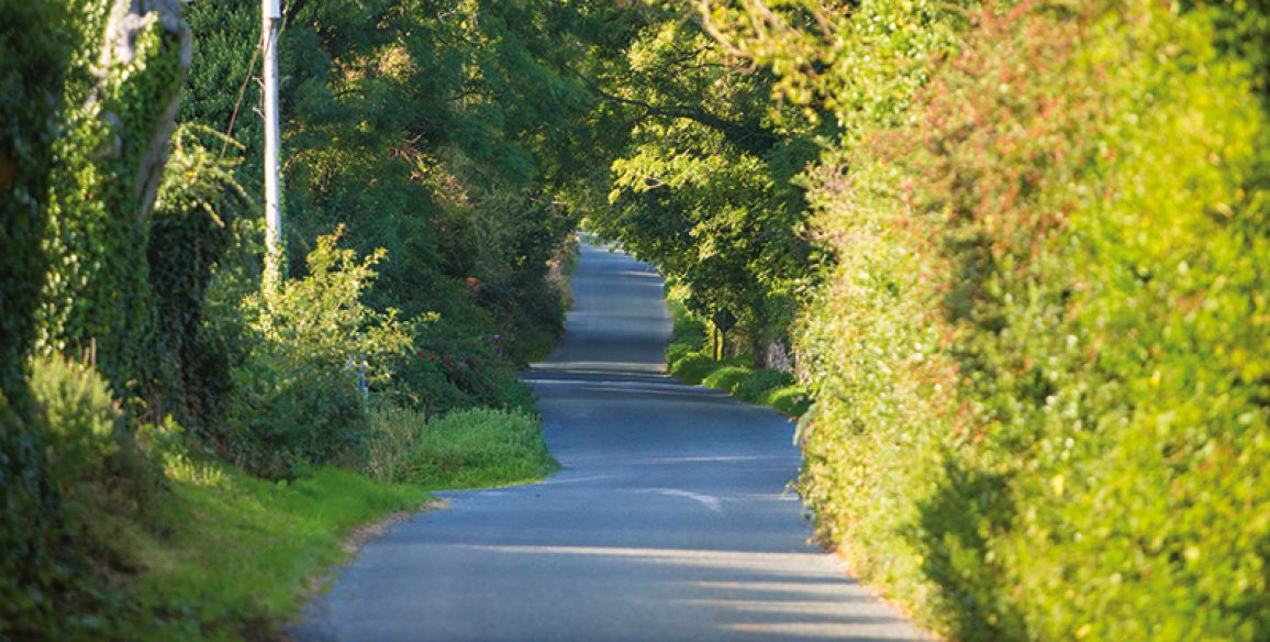 Ballyflanagan Dunganstown Pure Miles