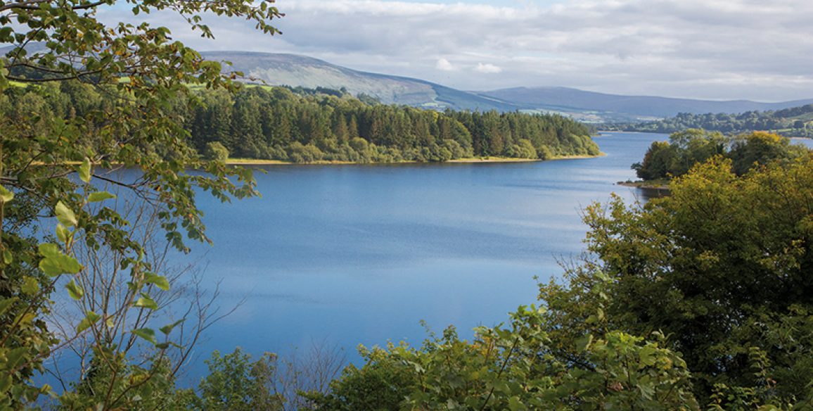 Blessington Boat House Pure Miles