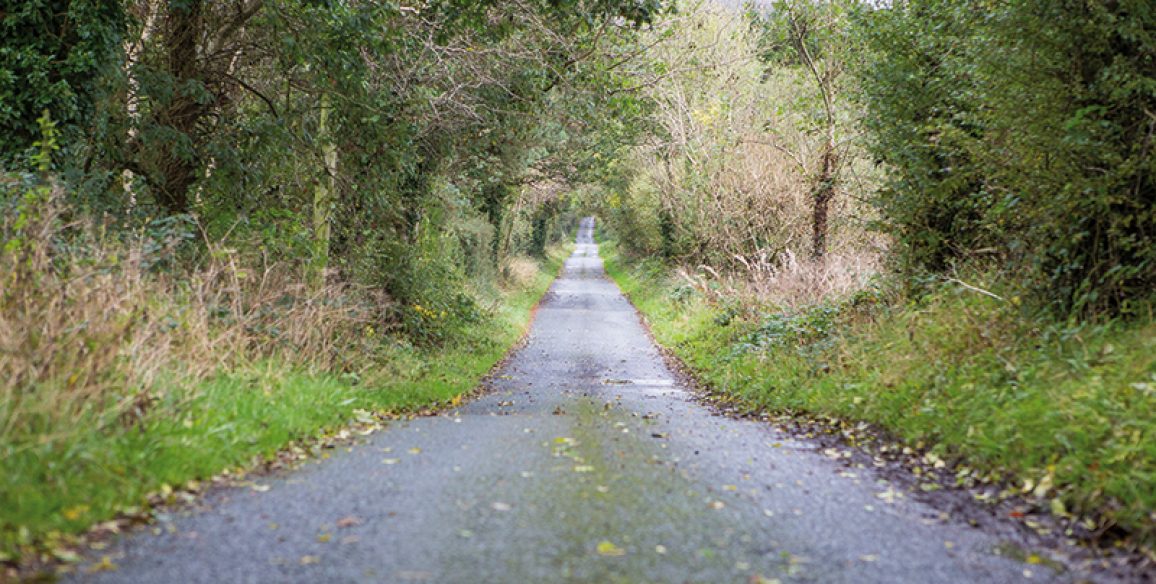 Bog Road Pure Miles