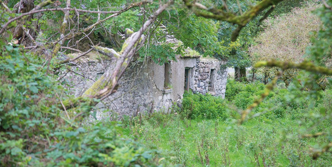 Butterhill Lower Rundle Knockerin Pure Miles