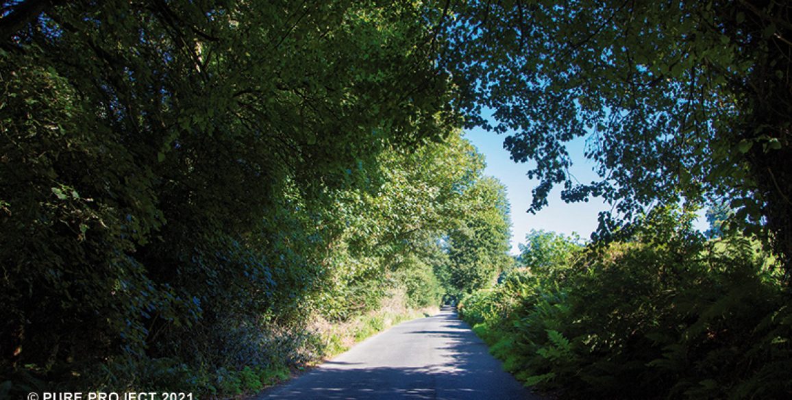 Kilmacurragh Dunganstown Pure Miles