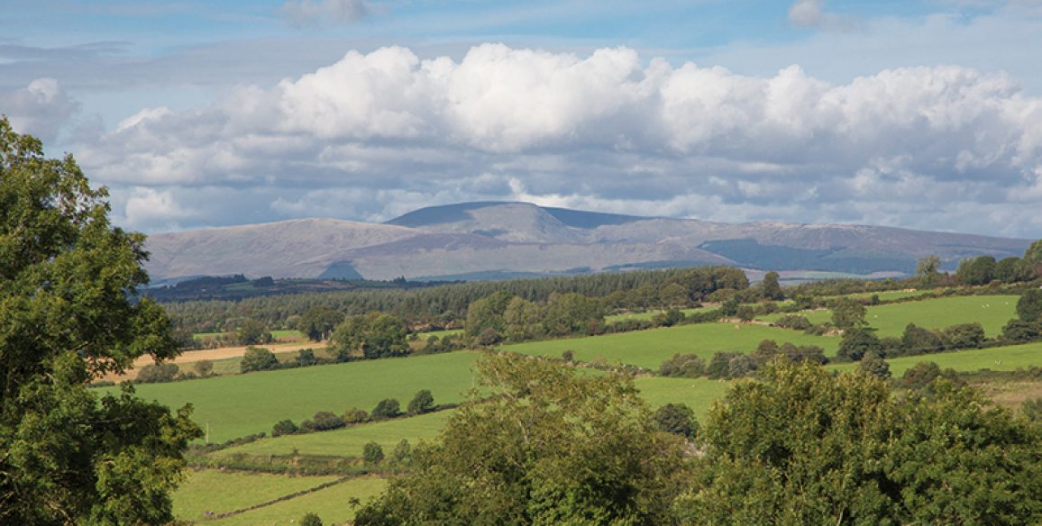 Laragh Hill Pure Miles