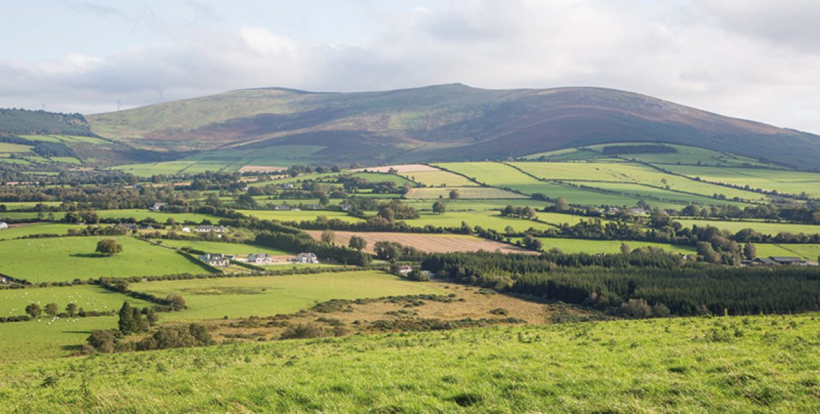 Rednagh Hill Anacurra Pure-Miles