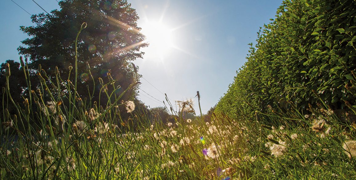Straghmore Roundwood Pure Miles